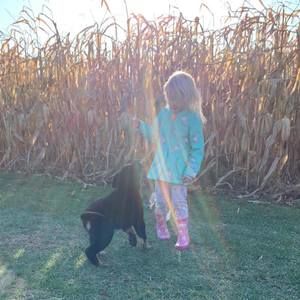 Meet your Posher, Claudia